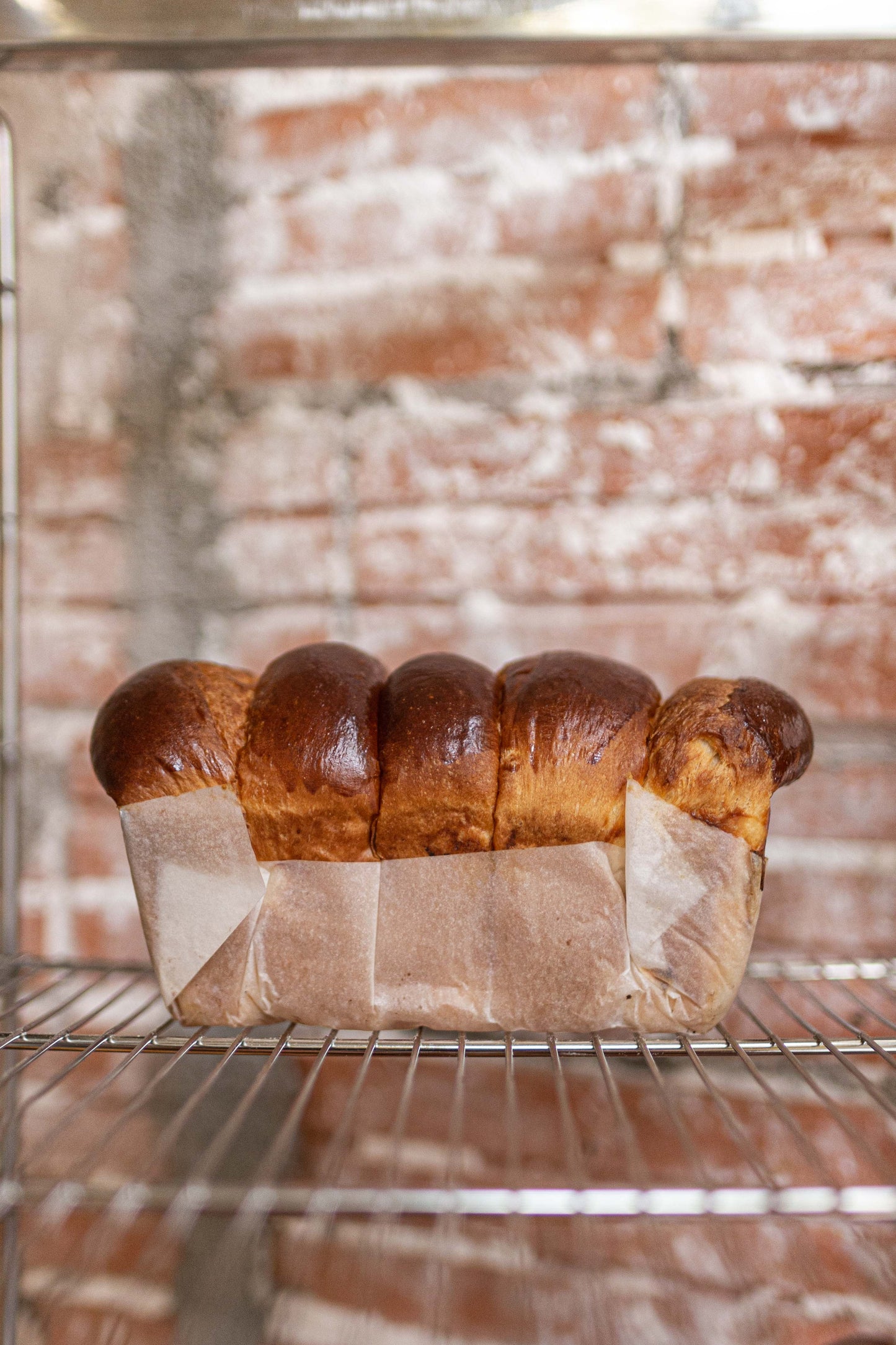 PAN DE LECHE BRIOSH