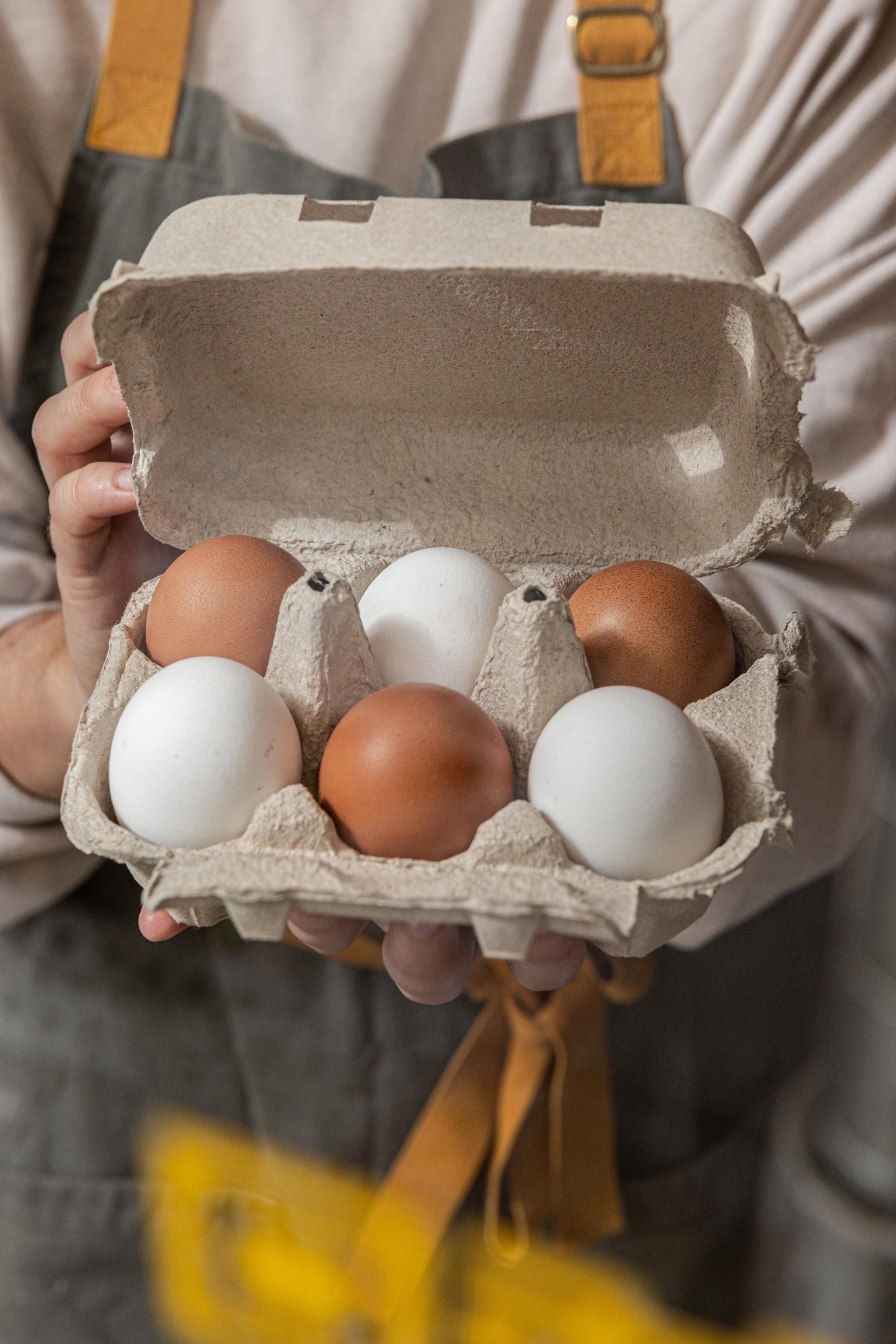 Huevos de gallinas y cobardes